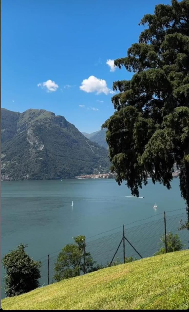 Villa Meraviglia - Villa With Breathtaking Lake Como Views Colico Exteriör bild